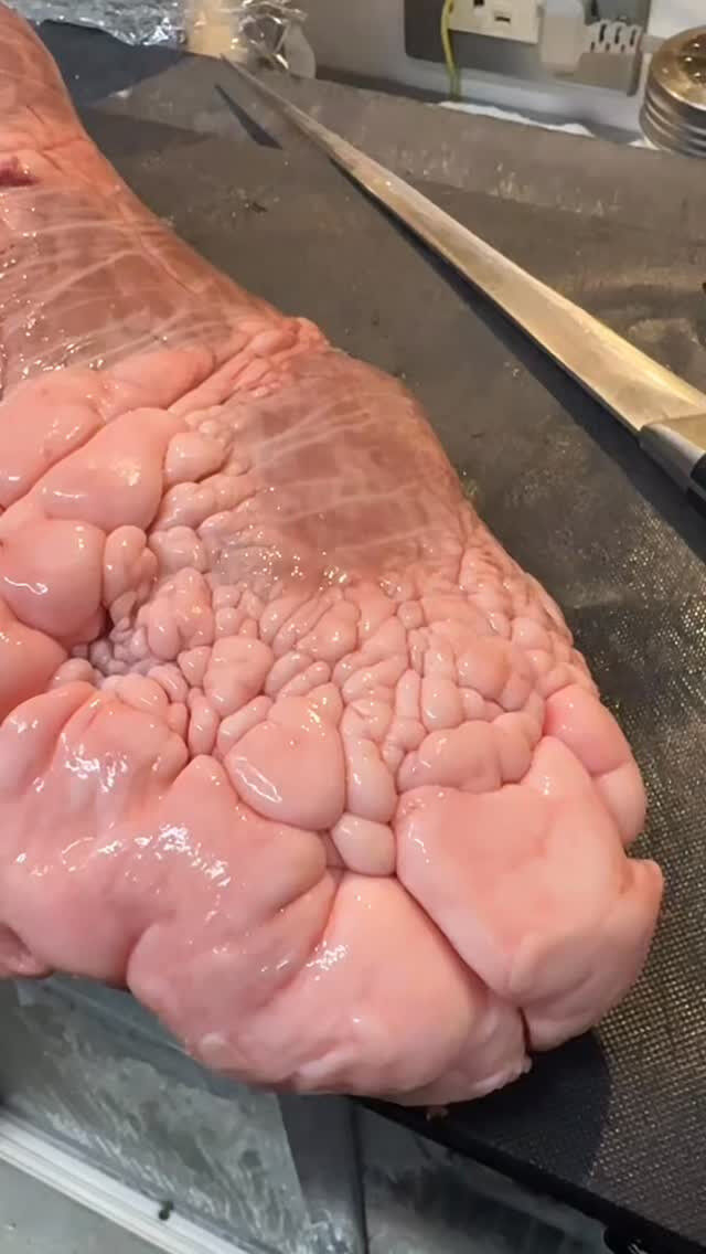 阿佐ヶ谷で肉刺し　焼肉を食べるなら🥩🐮