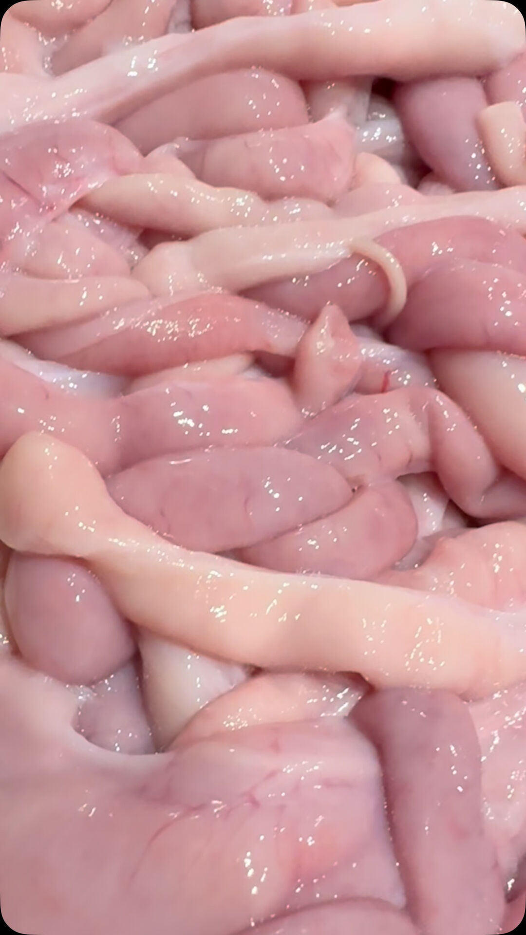阿佐ヶ谷で焼肉を食べるなら肉刺しが売りの🍖